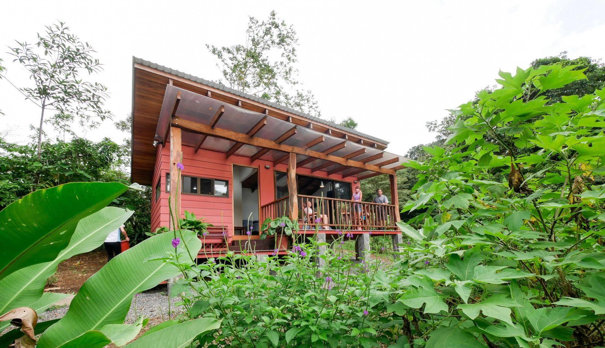 ביחגואה Casitas Tenorio B&B And Farm מראה חיצוני תמונה